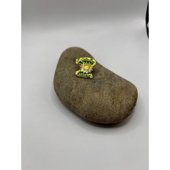 vintage pins (3) girl scout & brownie -1960s / Juliette Gordon birthplace-90s - Picture 7 of 12